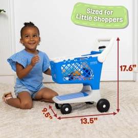 Let's Go Shopping Pretend Scan & Sort Shopping Cart, Sturdy Plastic, Includes Pretend Food, Blue Shopping Cart for Kids Age 2+