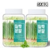 (건강스토리)국산 밀싹 분말 200g X 2통 (Health Story) Domestic Wheatgrass Powder 200g X 2 Bottles