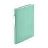Lihit Lab File Clear Book A4, 20 Pockets, Light Green