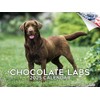 2024 2025 Labrador Chocolate Calendar - Dog Breed Monthly Wall