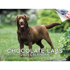 2024 2025 Labrador Chocolate Calendar - Dog Breed Monthly Wall Calendar - 12 x 18 Open - Thick No-Bleed Paper - Giftable - Academic Teacher's Planner Calendar Organizing & Planning - Made in USA