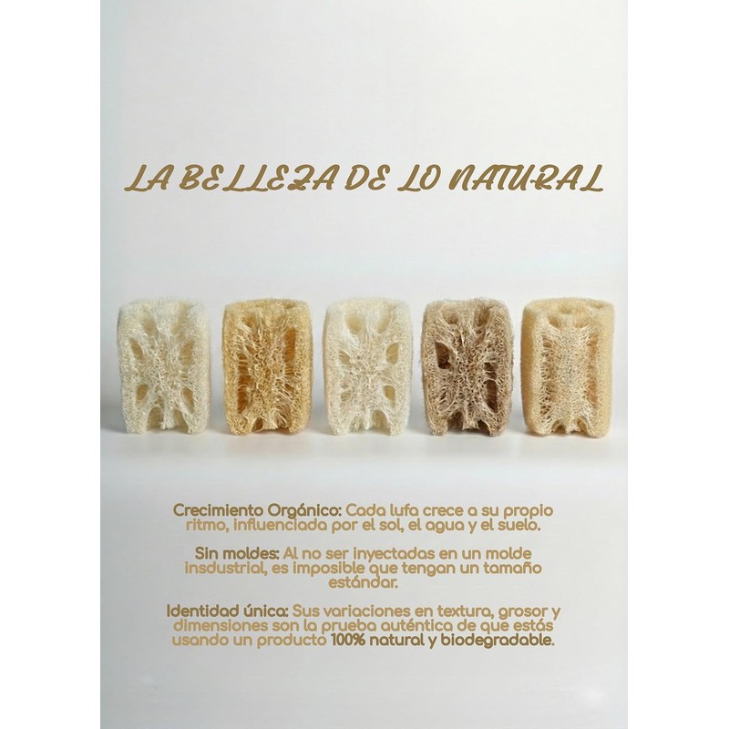 Lufa Estropajo Zacate Exfoliante – Esponja Natural 100% Biodegradable