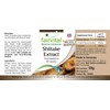 Fairvital Shiitake Extract 500 mg - High Dose - Lentinula