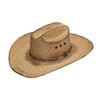 Ariat Men's Fired Palm SS Hat - Brown -