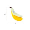 Catstages Petstages Dental Banana Catnip Cat Chew Toy