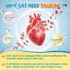 Taurine Powder for Cats Taurine, Feline Heart Vision, Energy Vitality