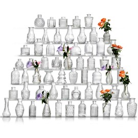 Glass Bud Vase Set of 60 - Small Vases for Flowers in Bulk - Assorted Vintage Crystal Vases for Flowers, Table Centerpieces (Clear, 60 Pcs)