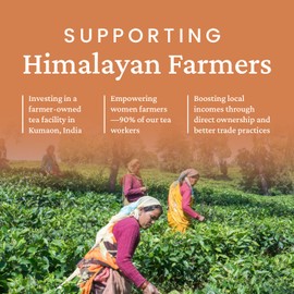 Young Mountain Tea Organic Nepali Golden Black Loose-Leaf Tea - Premium Full-Bodied, Aromatic Black Tea, Handpicked from Nepal, Notes of Milk Chocolate & Honey, Whole Black Tea Leaves 2 oz Tin