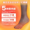 Iris Ohyama PKN-15HK Disposable Warmer, Stick On, For Under Socks,