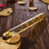 Leools Vintage LED Spiral Filament Bulb T10, 8.9inch Long Tubular