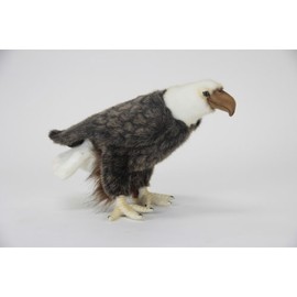 ハンサ(HANSA) ハクトウワシ No.5616