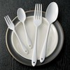 Wada Corporation Napoli Enameled Cutlery Dessert Spoon