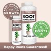 Root Supplement for Fiddle Leaf Figs, Stimulate and Propagate Healthy