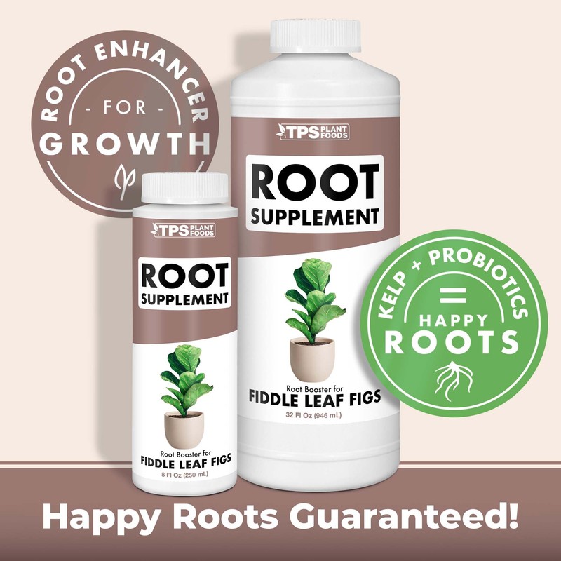 Root Supplement for Fiddle Leaf Figs, Stimulate and Propagate Healthy
