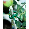 Plant Clips Plant Clips for Trellis Tomatoes, Roses, Cucumbers and
