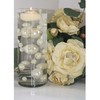 WGV Cylinder Vase, 3" W x 8" H, Clear Bud