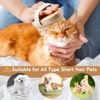 Soft Pet Grooming Brush, Bristle Palm Brush, Short Haired Dog