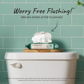 The Honest Company Plant-Based Flushable Wipes | 99% Water, Hypoallergenic