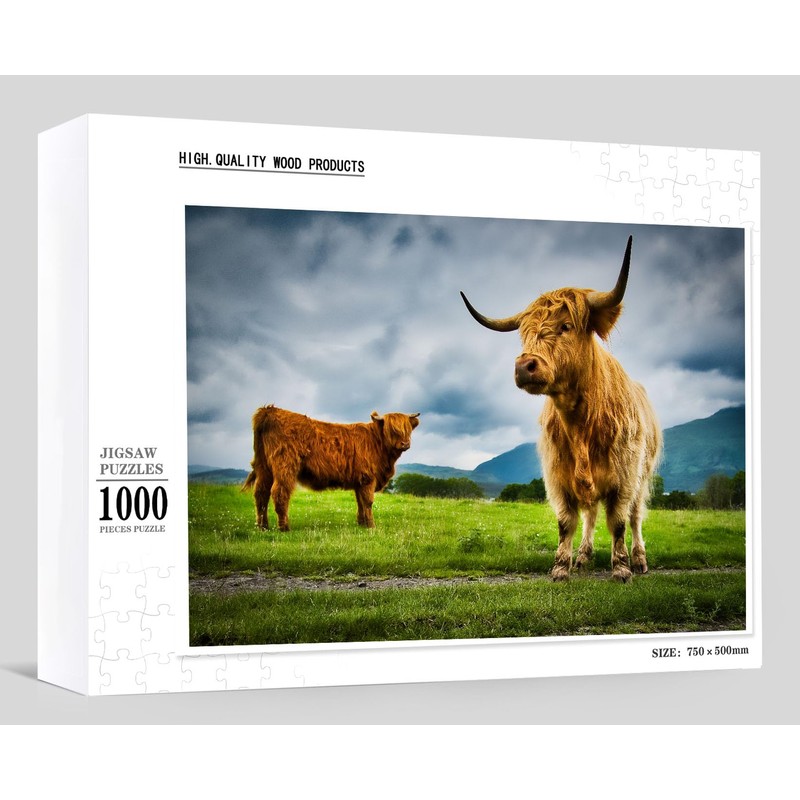 Highland Cows in The Glencoe Scotland Highlands Jigsaw Puzzles for