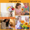 JollyPetal&Ramita (colorido)