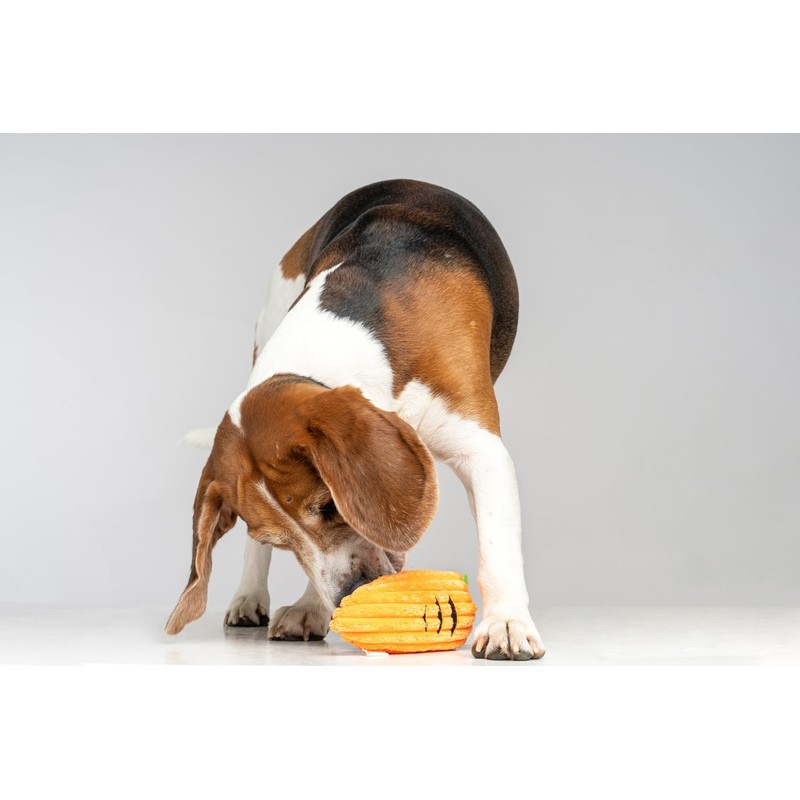 Puffy Crew Squeaky Dog Plush Toy, Bite_Stick Collection, 8'', for