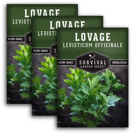 Survival Garden Seeds - Lovage Seed for Planting - 3 Packs with Instructions to Plant and Grow Perennial Levisticum Officinale Culinary Herb in Your Home Vegetable Garden - Non-GMO Heirloom Variety