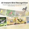 TT Nature Smart Bird Feeder with Camera, Heavy-Duty Chew-Proof Metal