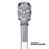 Royal RC Canes Chrome Brass Skull Handle Walking Cane with