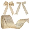 Mindsoft Wired Ribbon Two-Tone Glitter Crinkled Ribbon with Metallic Edge