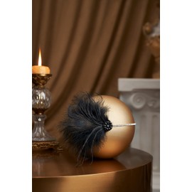 Coucoland 1920s Feather Headband, Women’s 20s Style Flapper Charleston Hairband, Great Gatsby Women's Fancy Dress Costume, Accessories -