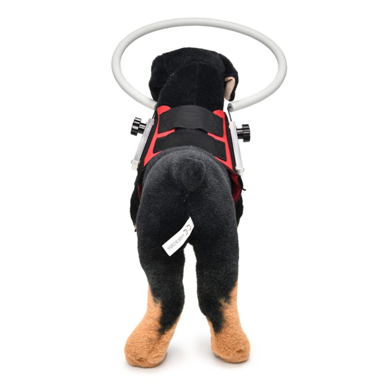 Ring Harness for Dog, Adjustable Dog Ring, Bumper Guards for