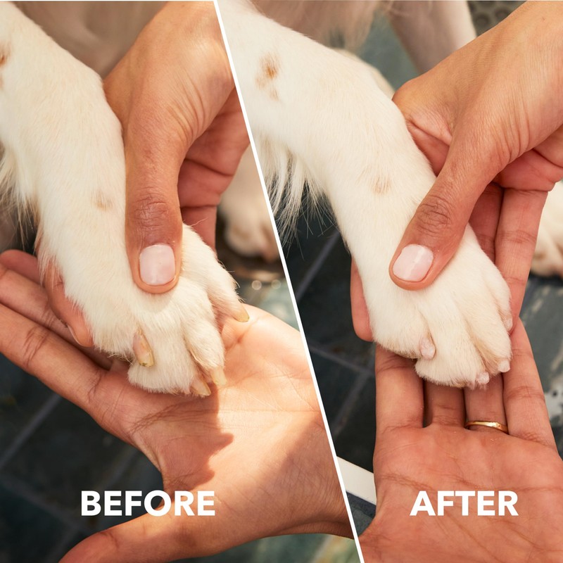 Dremel MAX Pet Nail Grinder (416DM) for Fast, Gentle Paw