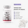 LifeLink Rosmarinic Acid Complex | 120 capsules | Vegan, Non-GMO,