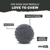Barkbox Super Chewer Tough Dog Chew Toys for Aggressive Chewers,