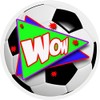144 Football Praise Words 30 mm Reward Stickers for School