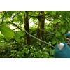 RONA C344468 Hand Chainsaw - With Chrome-Plated Chain - Quiet,