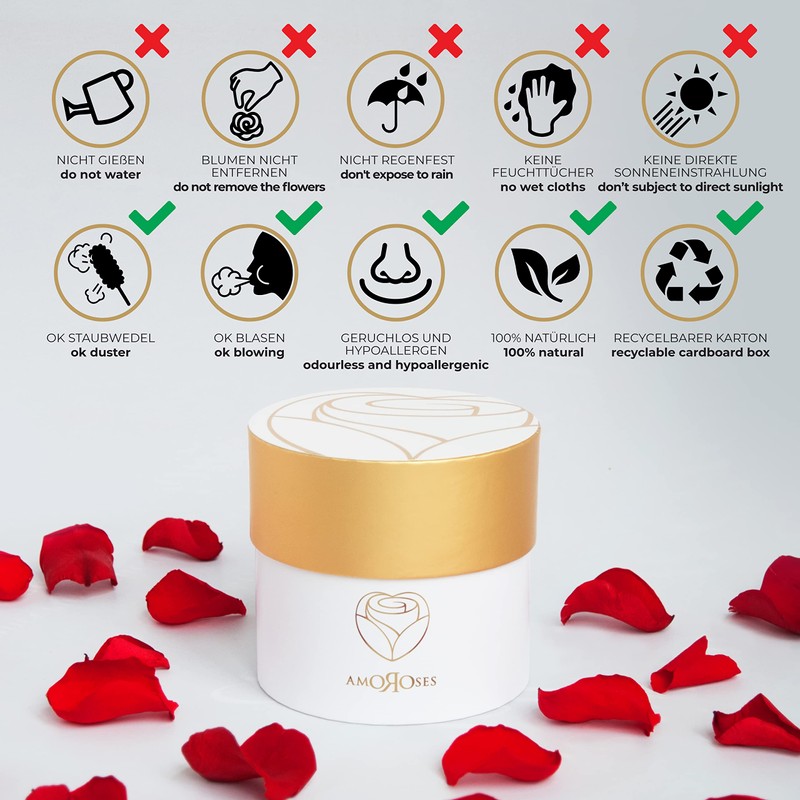 Amoroses Petite - Gift Box 5 Eternal Stabilised Roses -