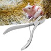Tooth Pliers Tooth Nipper Stainless Steel Piglets Teeth Scissors for