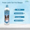 Protein Lanolin Tearless Conc. Shampoo 12oz