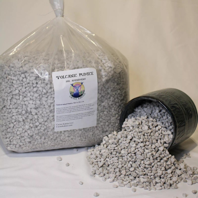Cactus Kaktus Horticultural Pumice - 14 quarts - Cactus Succulent