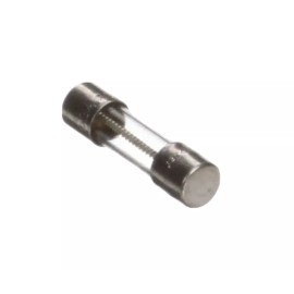 Hoshizaki 3a Fuse 4A0893-06 ( 2 pack fuses)