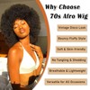 Afro Wigs for Black Women Gray Bouncy Fluffy Curly Big