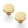 Ravinte 30 Pack Solid Single Hole Kitchen Round Cabinet Knobs