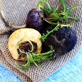 Curly Superfood Black Maca Powder Organic from Peru 500 g - Controlled Organic Cultivation, Hand Harvested, Raw Food Quality & Laboratory Tested - Organic Maca Powder Black Bottled in Germany