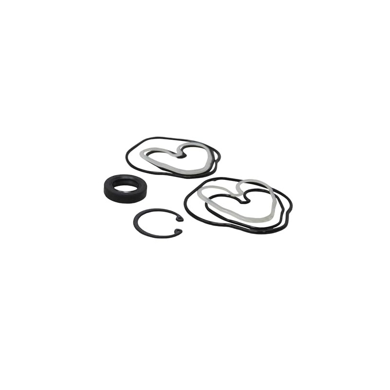 Aztec Hydraulics Replacement - Compatible with Seal Kit for Kayaba