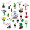 Mini Brands Create Garden Capsule (2 Pack) by ZURU, Mini