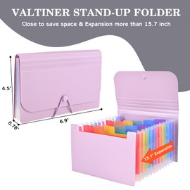 Valtiner 2Pcs Receipt Coupon Holder Organizer, 13 Pockets Small Accordian File Organizer, Expanding File Folder with Colorful Tabs, A6 Size for Cards, Check, Tickets, Monthly Bills Storage (Purple)