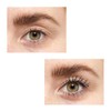 L'Oreal Paris Double Extension 2x Waterproof - 6 ml, Black