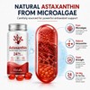 Astaxanthin Supplements 24mg Astaxanthin Softgels,from Microalgae, Triple Strength Astaxantina Antioxidant
