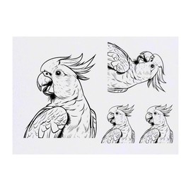 Azeeda 4 x 'Kakadu mit offenem Schnabel' Temporäre Tattoos - Wasserfest, Hautfreundlich & Ungiftig · Transfers in Verschiedenen Größen (TO00073192)